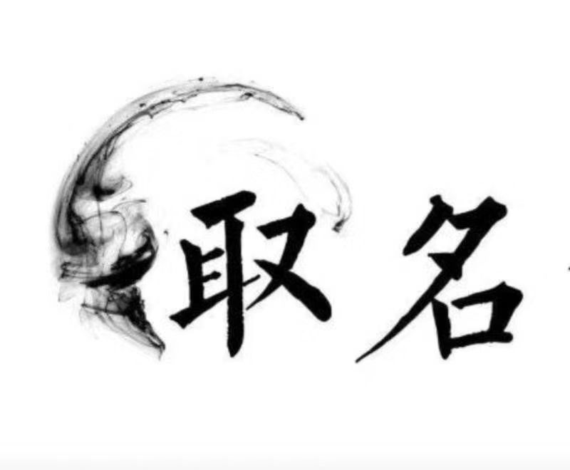  红花岗宝宝取名 大师一对一人工起名